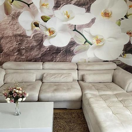 Sunkissed Centre Apartment Vlora Kültér fotó